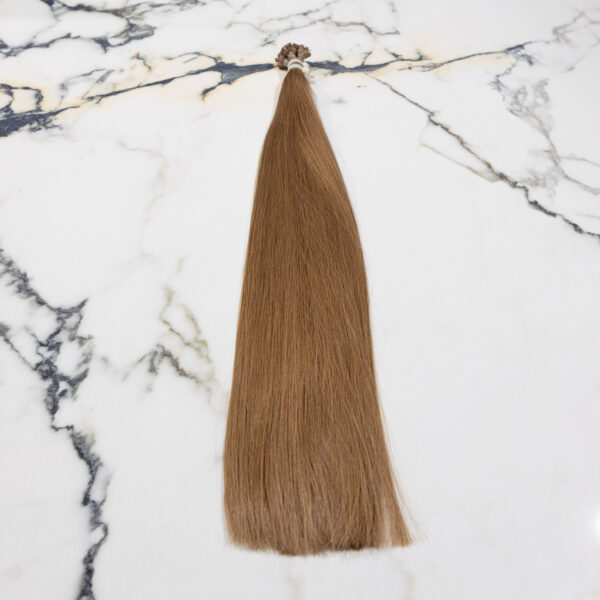 slavic-extensions-sek101-01