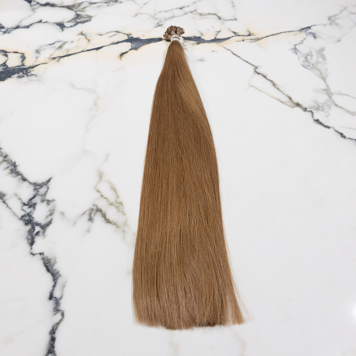 slavic-extensions-sek101-01