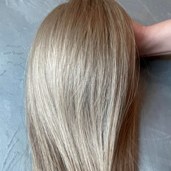 slavic-extensions-sek102-01