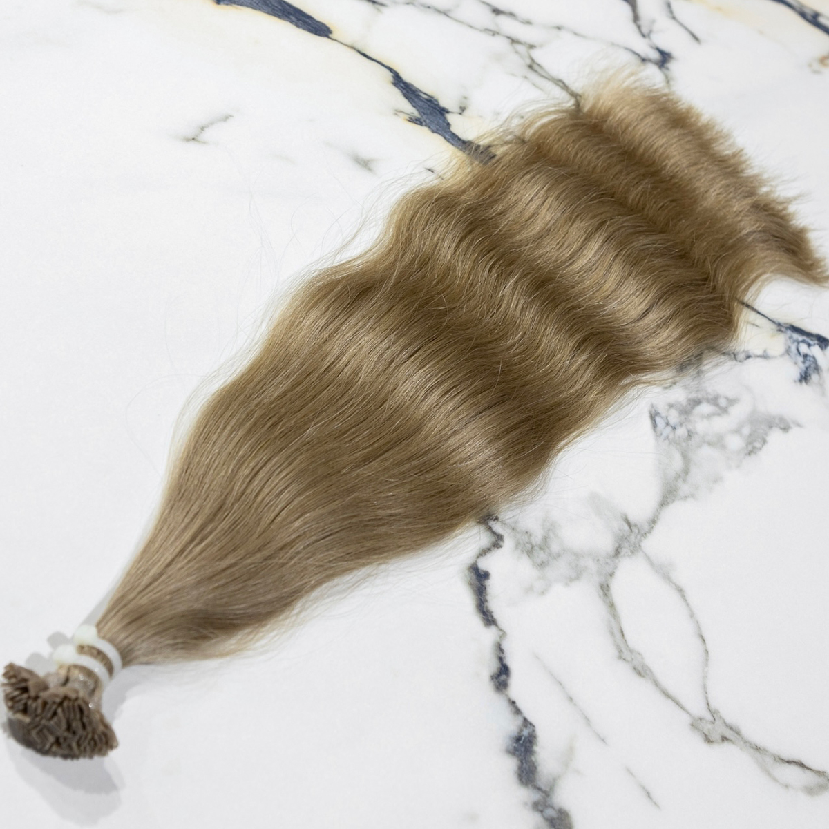 slavic-extensions-sek103-01