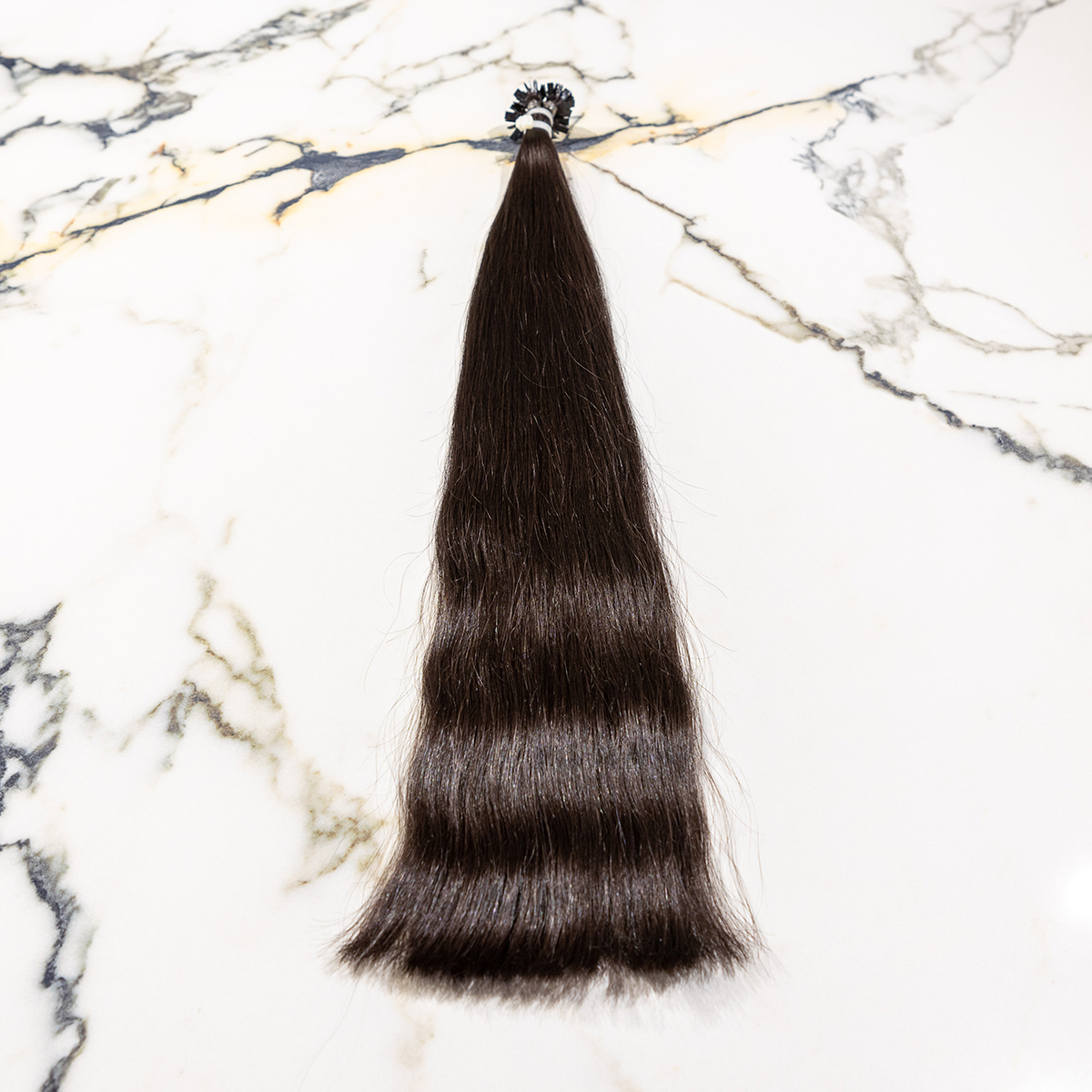 slavic-extensions-sek106-01