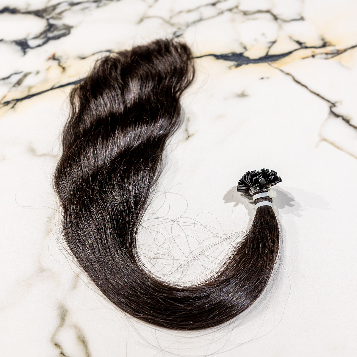 slavic-extensions-sek106-02